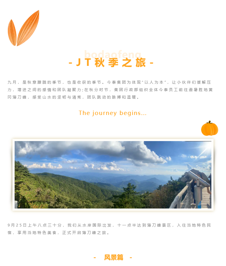 秋天了，來一場成年人的秋游吧(圖1)