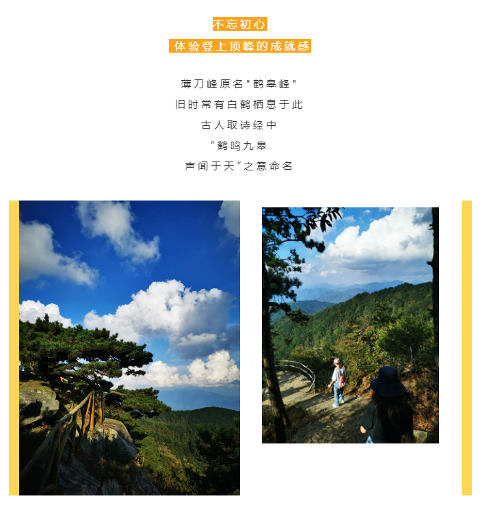 秋天了，來一場成年人的秋游吧(圖2)