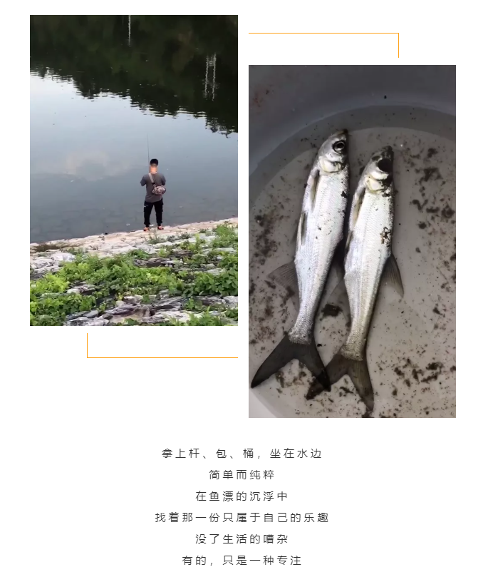 秋天了，來一場成年人的秋游吧(圖5)
