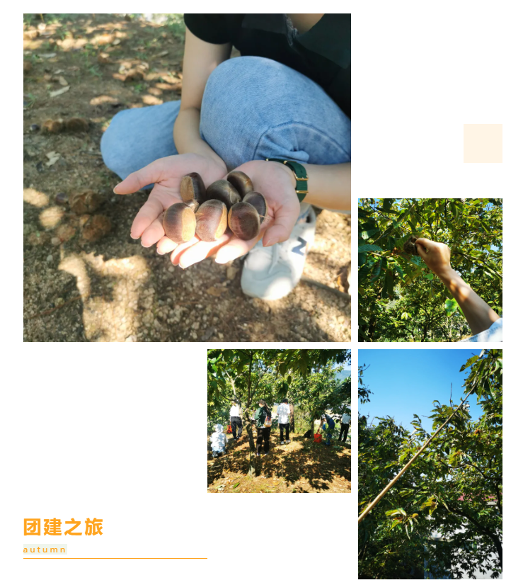 秋天了，來一場成年人的秋游吧(圖6)